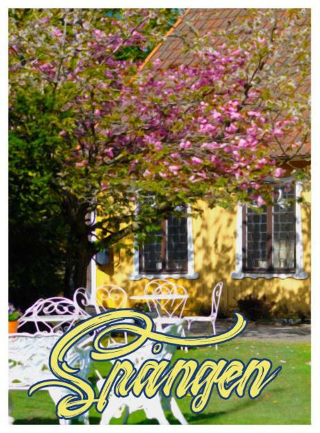 Spangens Gastgivaregard Inn Ljungbyhed Exteriér fotografie